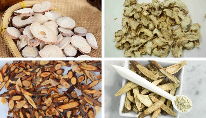 Bài Thuốc Ý Dĩ Nhân Thang (Thoái Hóa Khớp Gối)