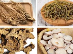 Bài Thuốc Ý Dĩ Nhân Thang Hợp Với Nhị Diệu Tán