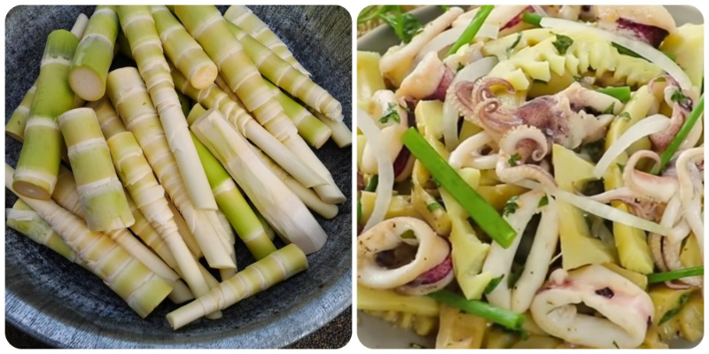 Đau xương khớp có ăn được măng không? Lão Tuấn lý giải