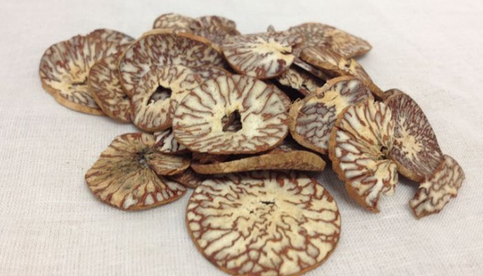 Binh lang giúp giảm đầy trướng bụng và tẩy giun hiệu quả