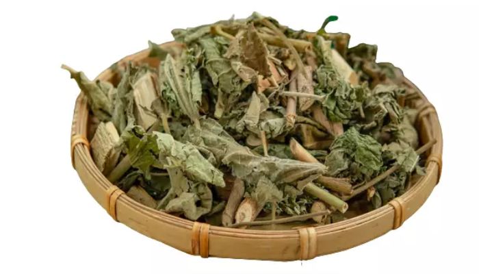 Bài thuốc từ an xoa hỗ trợ tốt cho bệnh nhân có bệnh về gan