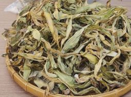 Bà con nên để thầy thuốc bắt mạch hướng dẫn dùng liệu trình riêng để phù hợp cơ thể