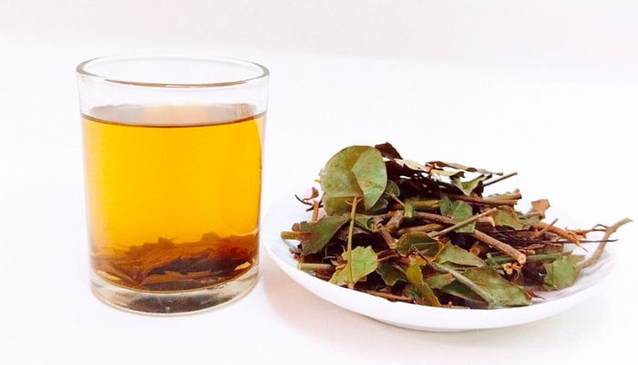 Phụ nữ sau sinh thường dùng bài thuốc chè vằng để lợi sữa