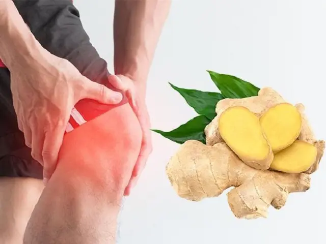 Bài thuốc dân gian trị viêm khớp: Gạn lọc từ tinh hoa cổ truyền