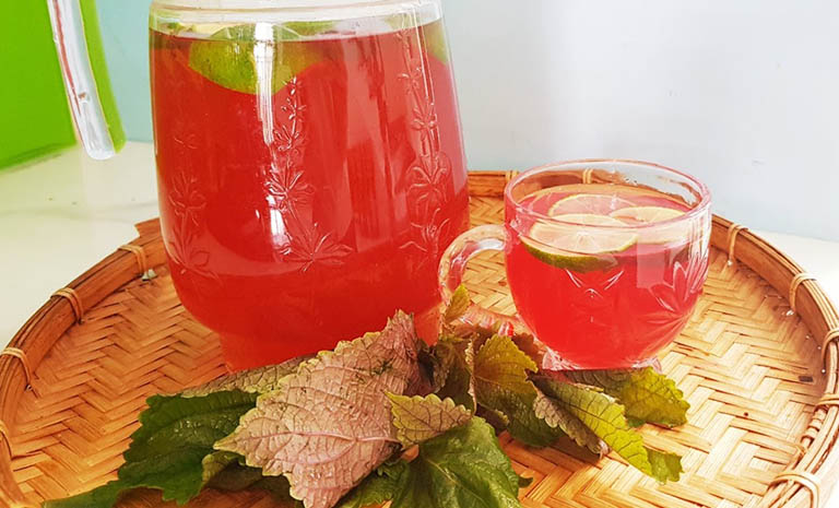 Chữa Mề Đay Bằng Lá Tía Tô – Phương Pháp Dân Gian Hiệu Quả