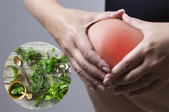 Bài thuốc dân gian chữa khô khớp: Gợi mở từ tinh hoa cổ truyền