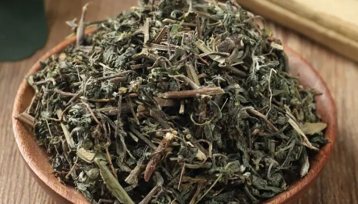 Cỏ mực giúp cầm máu và thanh nhiệt rất tốt