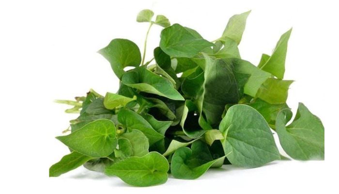 Dân gian thường dùng diếp cá để giải nhiệt 