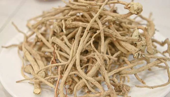 Rễ đinh lăng là phần được sử dụng rất nhiều trong chăm sóc sức khỏe