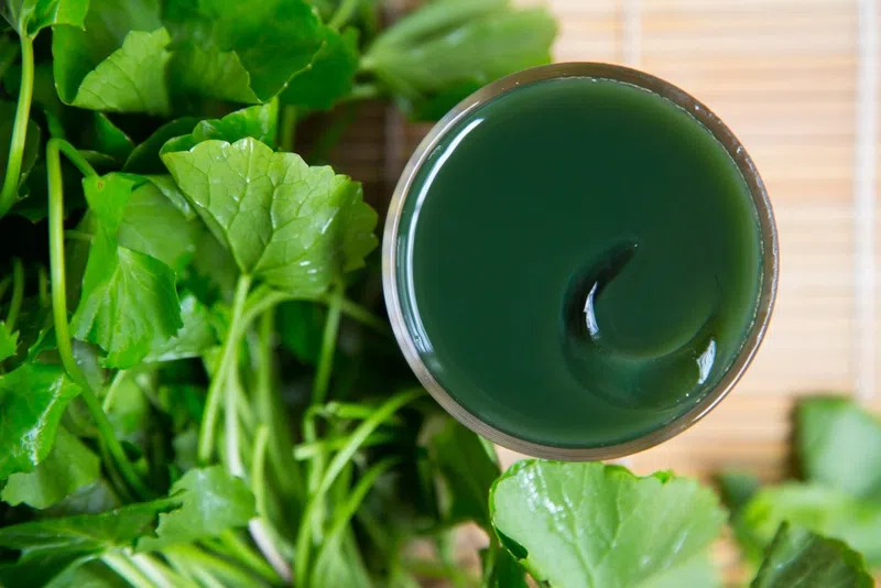 Nóng gan nổi mề đay uống gì để giải độc, thanh nhiệt hiệu quả?