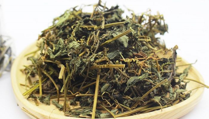 Giảo cổ lam thường được dùng để pha trà