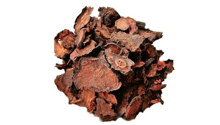 Hà thủ ô đỏ ứng dụng trong nhiều bài thuốc hoạt huyết