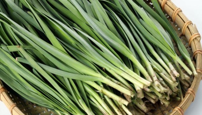 Hẹ thuộc họ hành tỏi