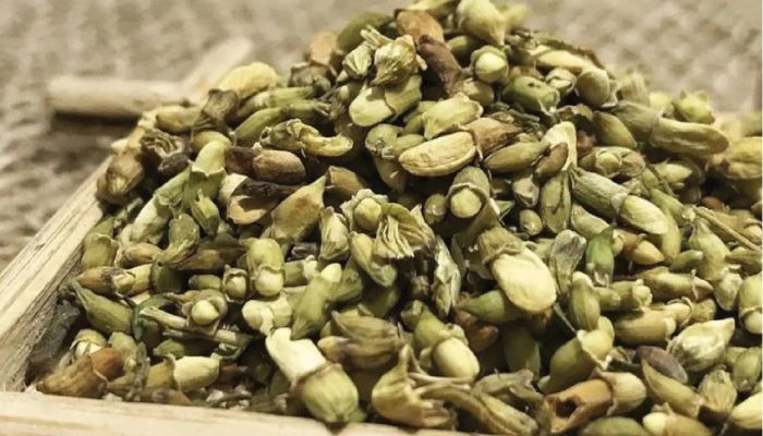 Hoa hòe hỗ trợ nhiều cho người bệnh huyết áp