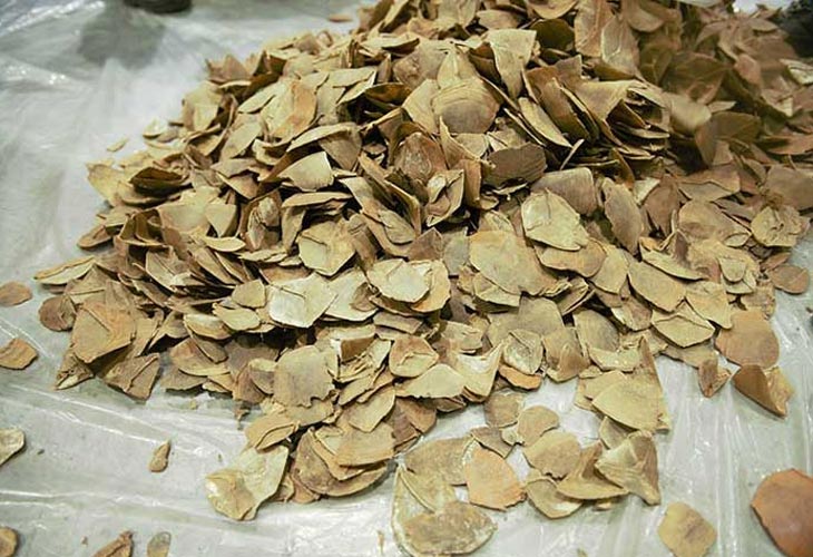 Vảy trút chữa mề đay: Mẹo dân gian có đáng tin cậy?