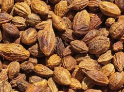 Kha tử thường sẽ dùng kết hợp với các vị thuốc khác