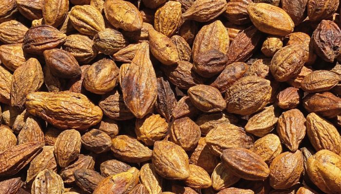 Kha tử thường sẽ dùng kết hợp với các vị thuốc khác