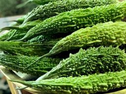 Khổ qua hay còn được gọi là mướp đắng