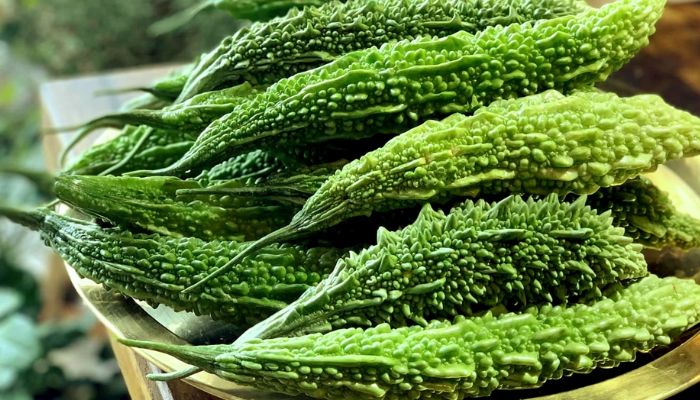 Khổ qua hay còn được gọi là mướp đắng