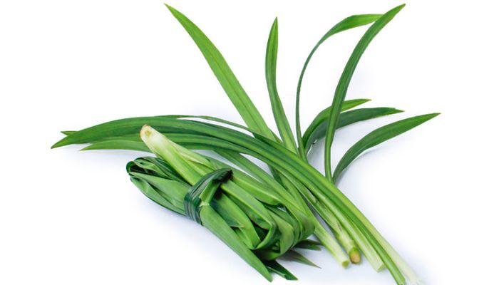 Lá dừa còn thường được gọi là lá nếp