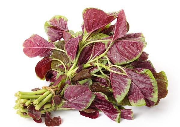 Rau dền mang tới nhiều lợi ích cho sức khỏe