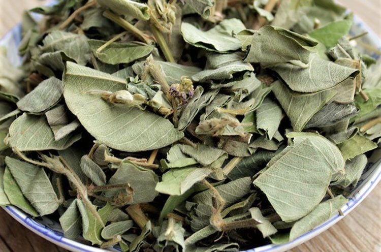 Các bài thuốc kim tiền thảo có tác dụng tốt với bệnh về sỏi