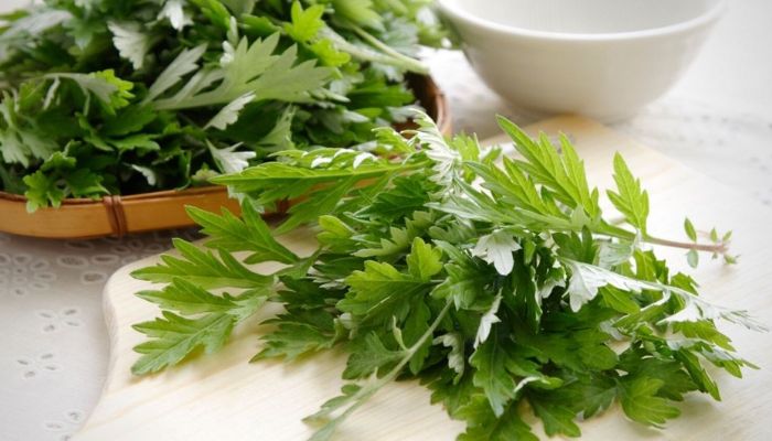 Ngải cứu là vị thuốc mọc quen thuộc trong vườn nhà