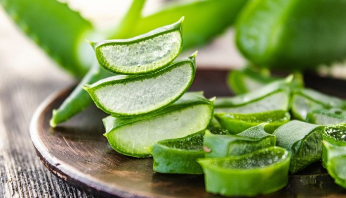 Lô hội thường dùng để làm dịu da và giảm nóng trong