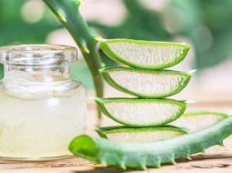 Nha đam còn được biết đến với tên gọi quen thuộc là lô hội