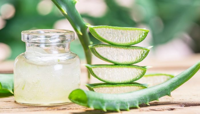 Nha đam còn được biết đến với tên gọi quen thuộc là lô hội