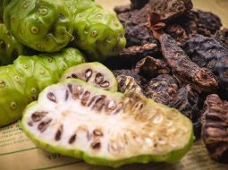 Cây nhàu thuộc họ cà phê