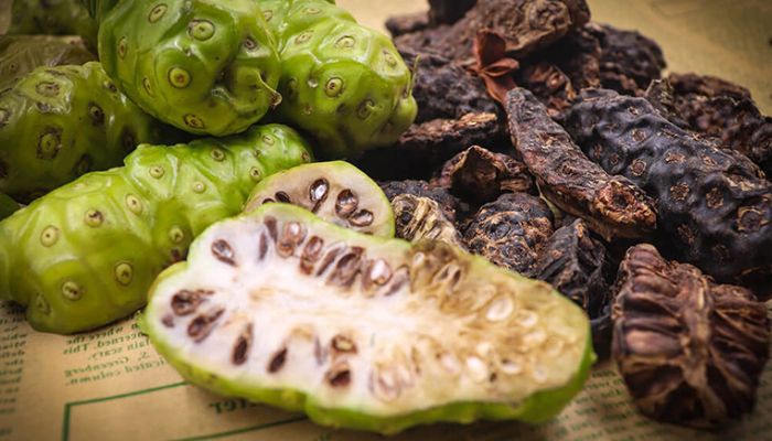 Cây nhàu thuộc họ cà phê