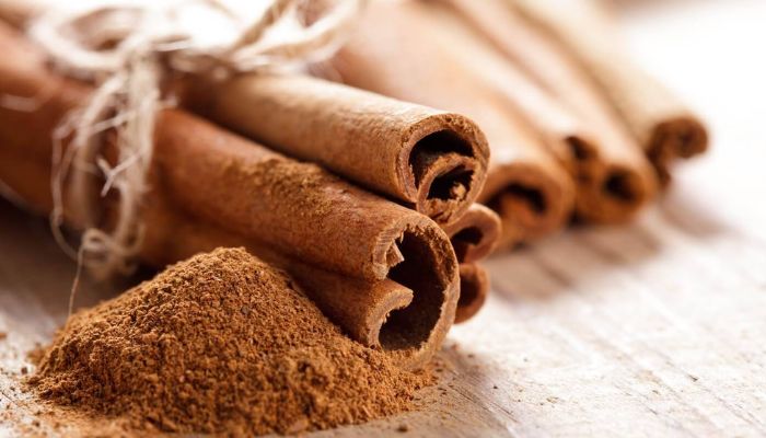 Quế được trồng rất nhiều ở vùng núi Việt Nam