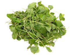 Rau má thuộc vào họ Hoa tán