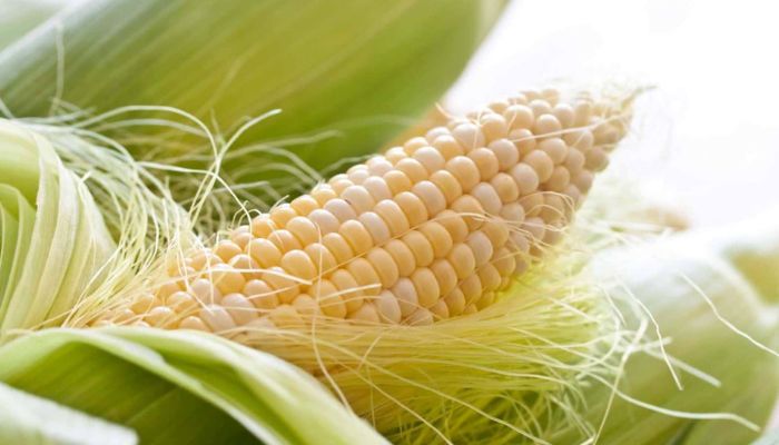 Rau ngô được Y học cổ truyền đánh giá có rất nhiều lợi ích cho sức khỏe