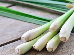 Sả hỗ trợ giải cảm phong hàn rất tốt