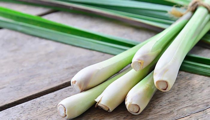 Sả hỗ trợ giải cảm phong hàn rất tốt