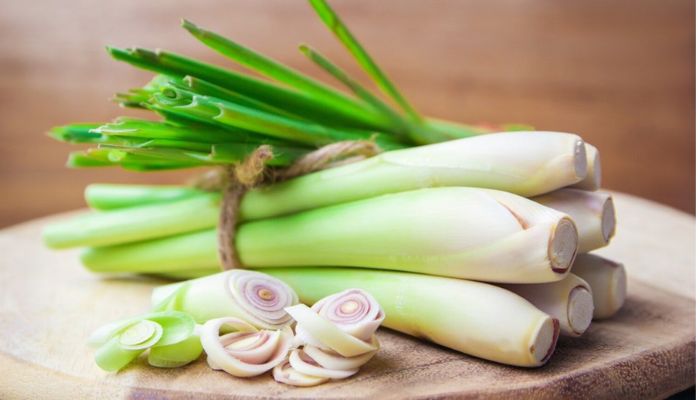 Sả vừa là gia vị nấu ăn vừa là vị thuốc rất tốt cho sức khỏe