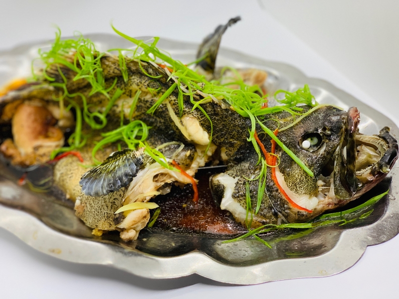 Trào ngược dạ dày có ăn được cá không? – Góc nhìn Đông y