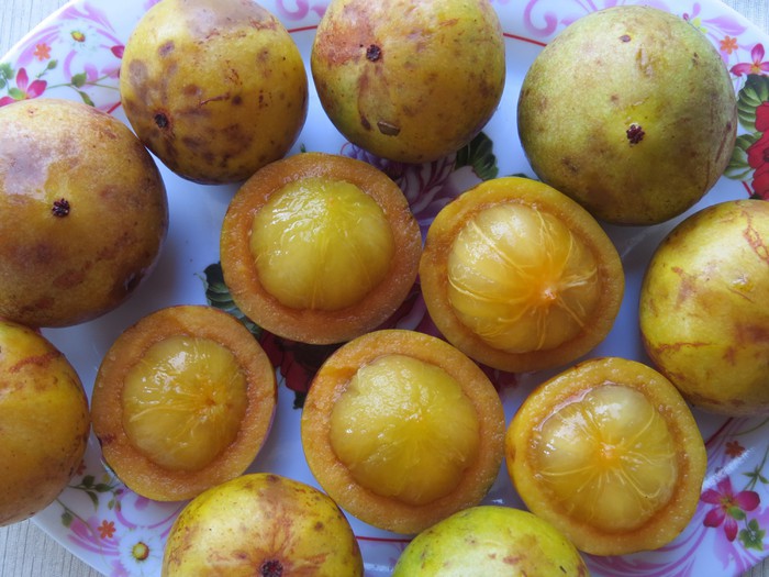 Quả bứa có thể hỗ trợ giảm cân