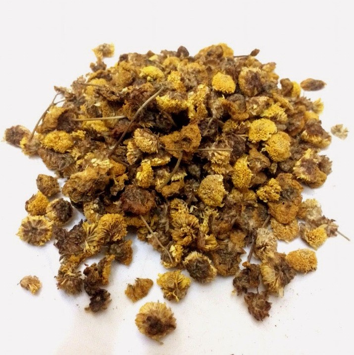 Cúc hoa vàng giúp thanh nhiệt, giảm đau đầu tốt