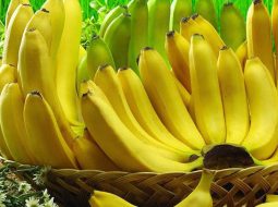 Đau dạ dày ăn chuối tiêu: Ăn sao cho đúng, dưỡng vị an thân?