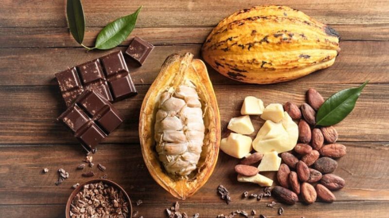 Ăn socola có mất ngủ không và cách dùng đúng để dưỡng tâm an thần