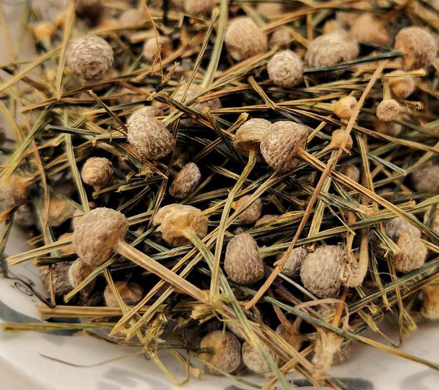 Cốc tinh hỗ trợ tốt cho đôi mắt