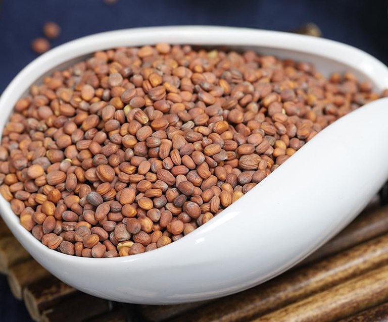 La bạc tử thường dùng để hỗ trợ giảm ho, đờm