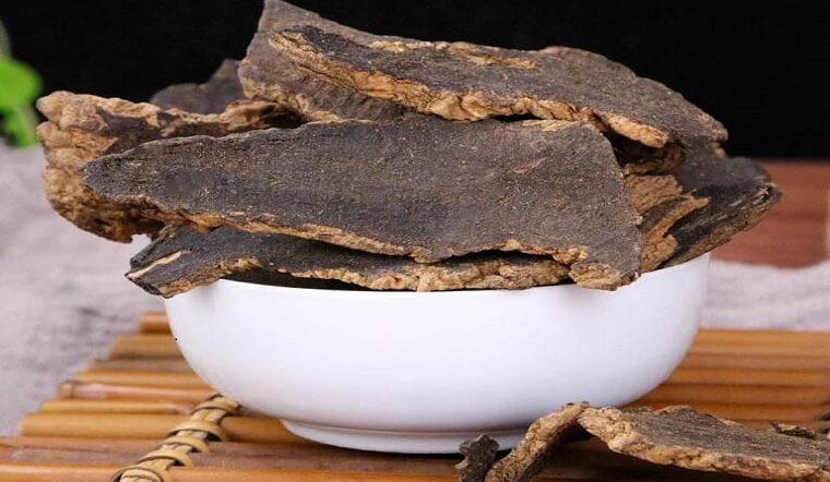 Huyền sâm cho tác dụng dưỡng âm rất hiệu quả