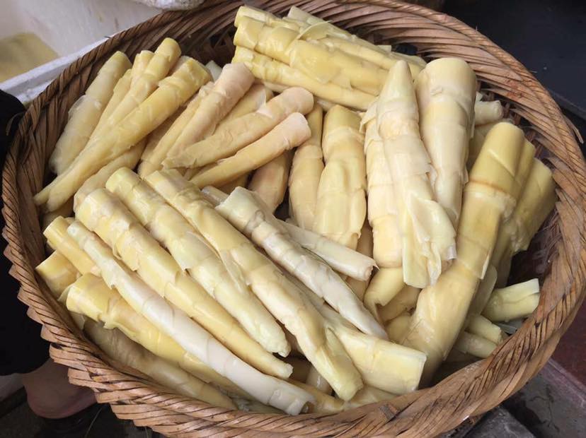 Đau xương khớp có ăn được măng không và lời dặn của Lão Tuấn về thực dưỡng