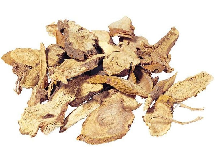 Rễ khổ sâm là vị thuốc quen thuộc 