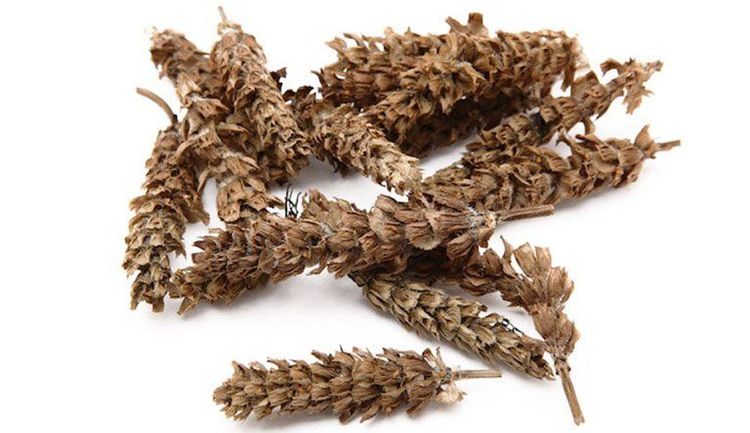 Hạ khô thảo thường sẽ kết hợp với các vị thuốc khác