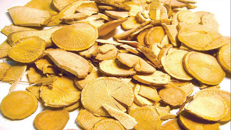 Mộc thông hỗ trợ điều trị các bệnh lý về đường tiết niệu